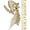 Carnotaurus skull bone
