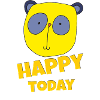 Koala Happy Today