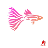 Guppy