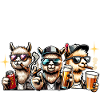 Sauf Crew Alpaka