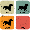 The 4 Dachshund Phases