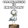 Cleanliness is important