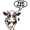 Yeehaw!
