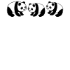 Panda Ours Pandas Panda Géant