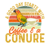 Parakeet, Parrot, Parakeet, Bird