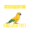 Parakeet, Parrot, Parakeet, Bird
