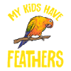 Parakeet, Parrot, Parakeet, Bird