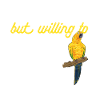 Parakeet, Parrot, Parakeet, Bird