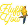Parakeet, Parrot, Parakeet, Bird