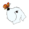 Sealy and Butterfly