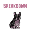 French Bulldog BREAKDOWN Frenchie