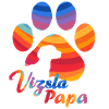 Vizsla Papa - Rainbow