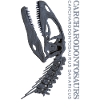 Carcharodontosaurus Schädel Fossil grey