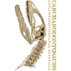 Carcharodontosaurus Schädel Fossil bone