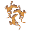 Three crowned geckos, reptiles