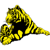 TIGer1
