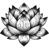 Lotus flower
