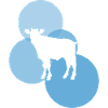Cows Farmer