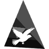 Bird Animal Flying