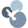 Flying Birds Wings