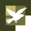 Animal Bird Wings