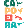 Capoeira brésilienne
