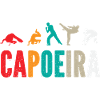 Capoeira brésilienne