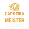 Capoeira Master and Student
