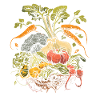 Permaculture Compost alimentaire
