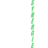 Human Synergie