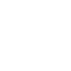 Writer