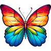 Schmetterling Regenbogenfarben Natur