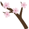 Branche de Sakura