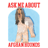 Afghan Greyhound Dog Owner Gift