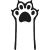 Tierpfote