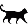 Katze schwarz Silhouette