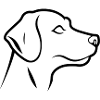 Hundekopf
