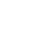 Cadeau caniche dansant