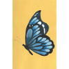Spring Butterfly