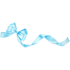 sky-blue bow