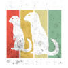 Dictons de suricate