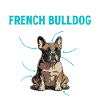 Anatomie d’un bouledogue français