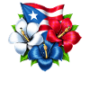 Puerto Rico Flowers Flag
