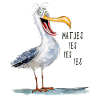 Matjes Möwe