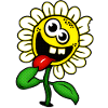 Funny Happy Flower / Crazy Flower