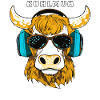 BULL WITH SUNGLASSES KÜHLMUH
