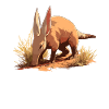 Aardvarks Aardvarks