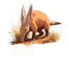 Aardvarks Aardvarks