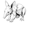 Aardvarks Aardvarks