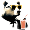 Cool Bear